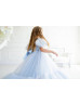 Puff Sleeves Blue Tulle Pearl Flower Girl Dress